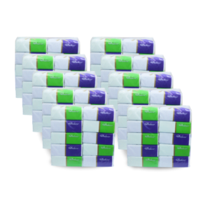 Deluxe Tissue (100 boxes)
