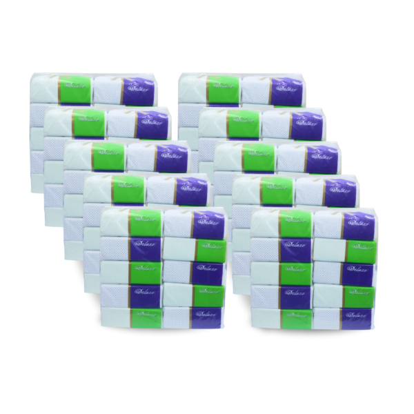 Deluxe Tissue (100 boxes)